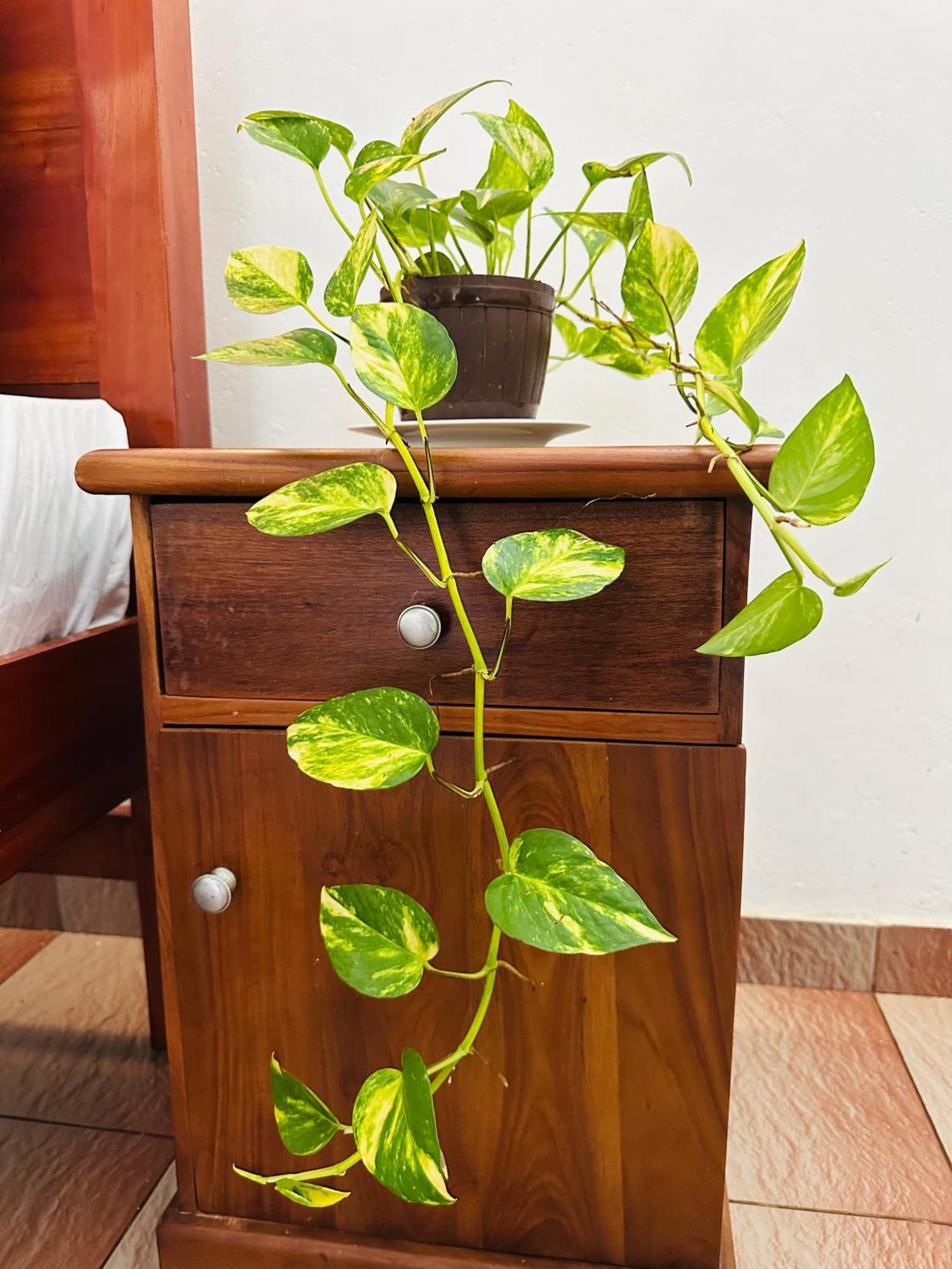 Villa 47 希克杜沃 外观 照片