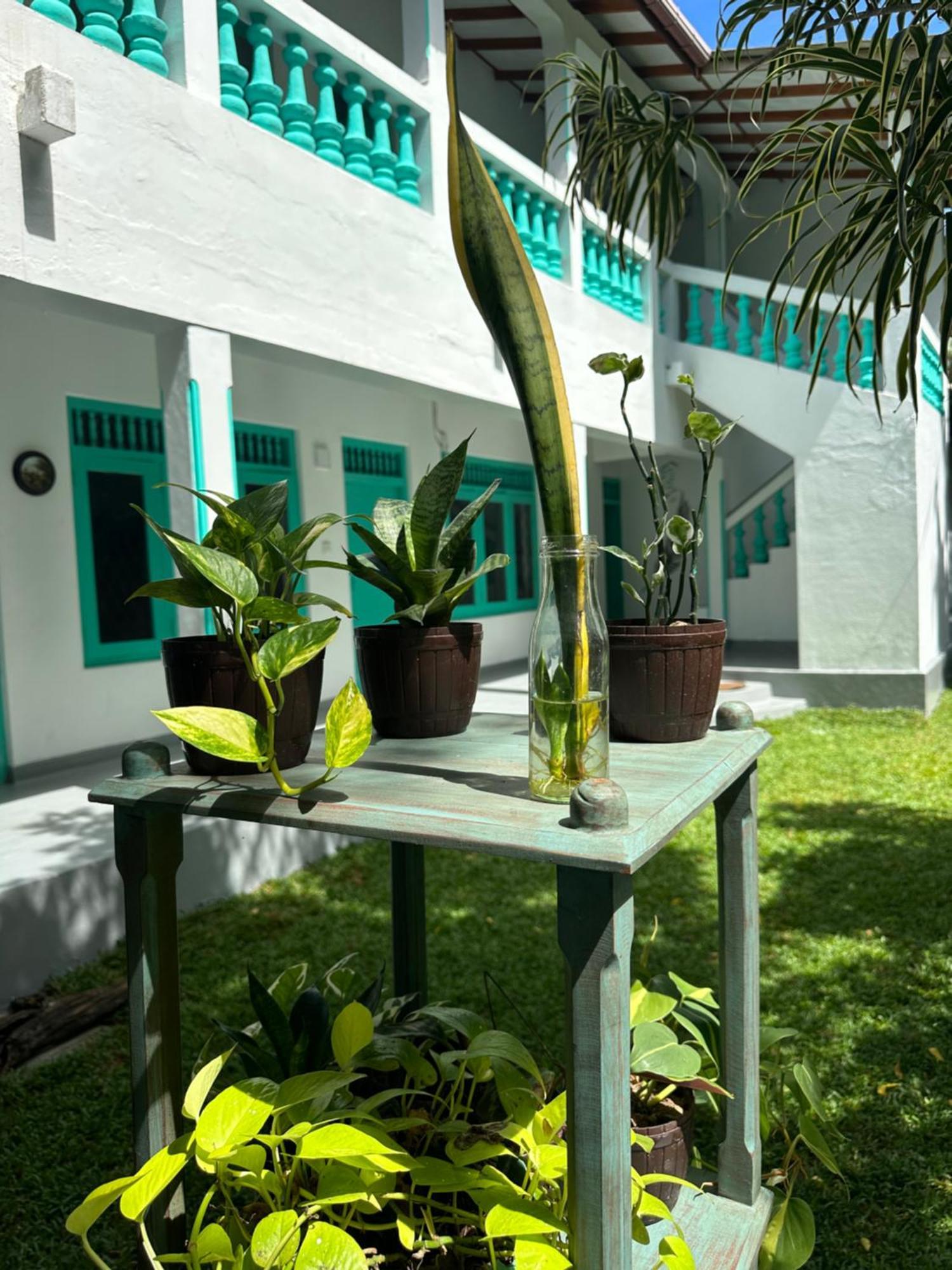 Villa 47 希克杜沃 外观 照片
