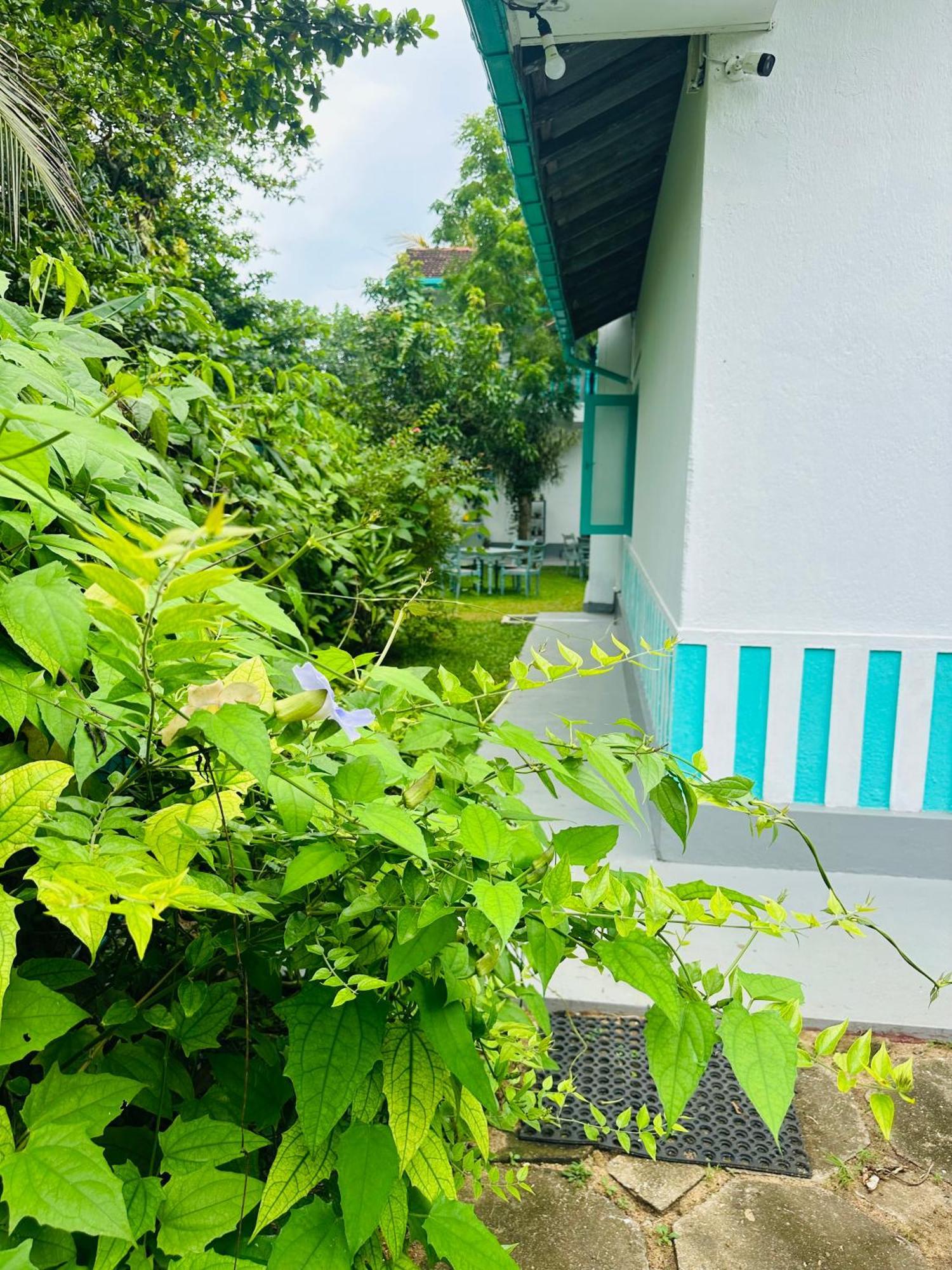 Villa 47 希克杜沃 外观 照片